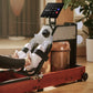WM10 Foldable Water Rowing Machine -  product_vendor - Peak Primal Wellness