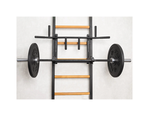 BenchK Series 2 231 Wall Bars