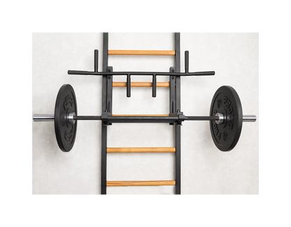 BenchK Series 2 231 Wall Bars