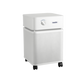 Austin Air HealthMate HM400 Air Purifier